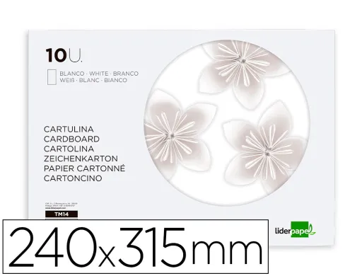 Bloco Trabalhos Manuais Liderpapel Cartolina 240x315mm 10 Folhas Cor Branco