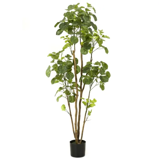 Emerald Árvore Artificial Polyscias em Vaso 160 cm