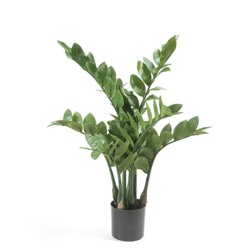 Emerald Zamioculcas Artificial 70 cm