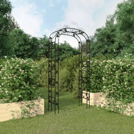 Arco de Jardim 116x45x240 cm Aço Preto