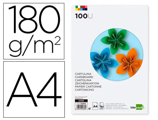 Cartolina Liderpapel Din a4 180 gr 25 Cores Sortidas Pack de 100 Unidades