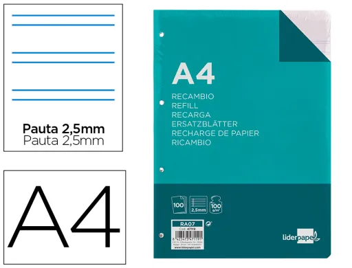 Recarga Din A4 100 Folhas 100g/m2 Pautado 2.5mm com Margem 4 Furos