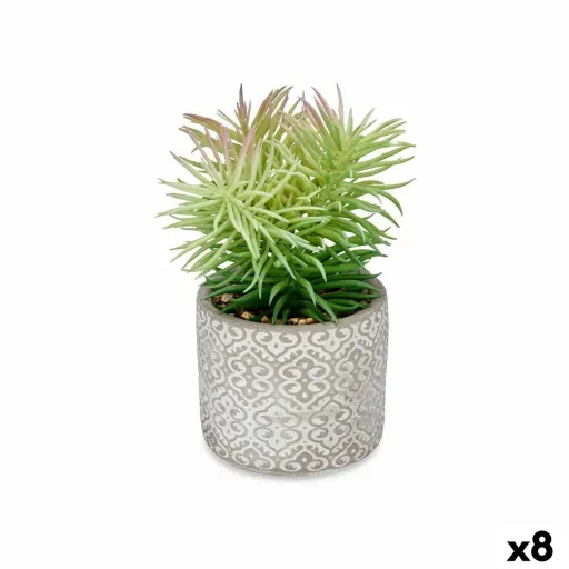 Planta Decorativa Suculenta Madeira Plástico 12 x 22 x 12 cm (8 Unidades)