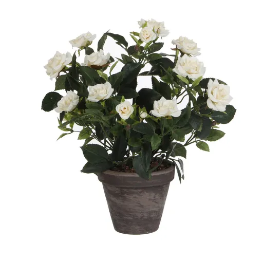 Planta Decorativa Mica Decorations Rosal Cerâmica PVC