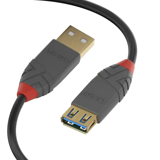 Cabo USB LINDY 36761 Preto 1 m (1 Unidade)