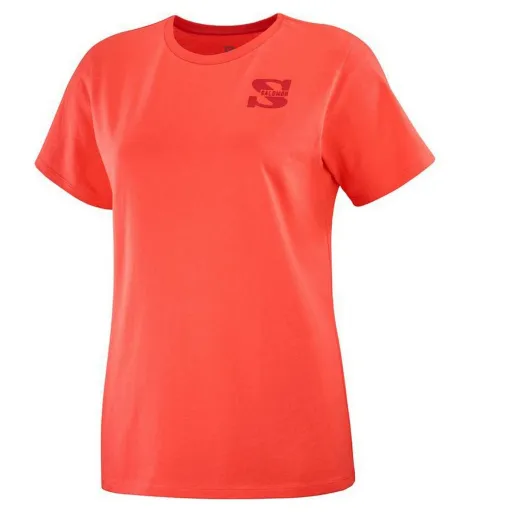 Camisola de Manga Curta Homem Salomon Outlife Small Logo Laranja