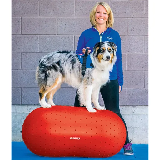 FitPAWS Plataf. Equilíbrio Animais Estimação Trax Peanut 50cm Vermelho