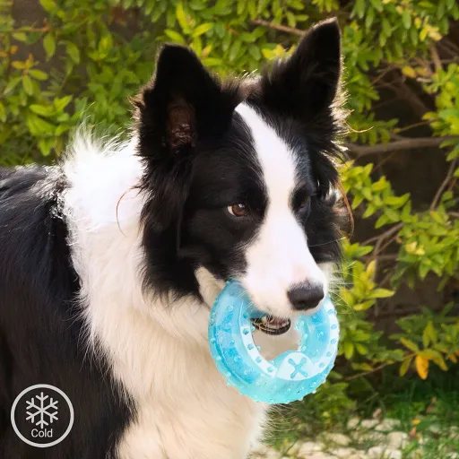 Brinquedo Mordedor Congelável para Animais de Estimação 2 em 1 Glubiz InnovaGoods