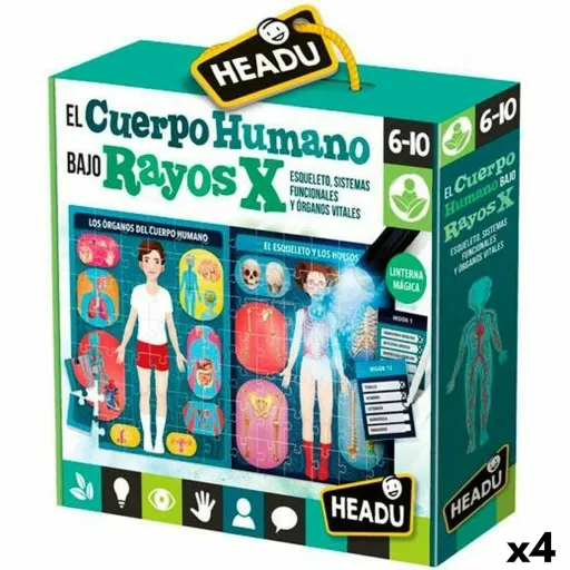 Jogo Educação Infantil HEADU El Cuerpo Humano Rayos X (4 Unidades)