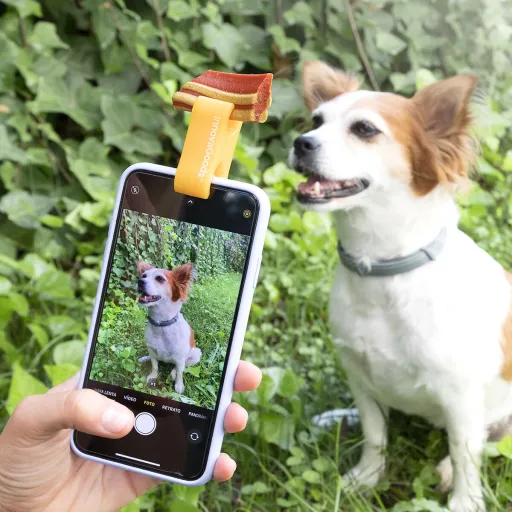 Clipe de Selfies para Animais de Estimação Pefie InnovaGoods